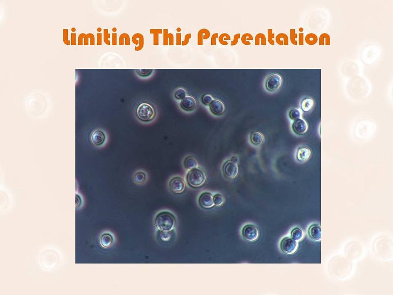Slide6.JPG - Brewer’s Yeast - Saccharomyces cerevisiae