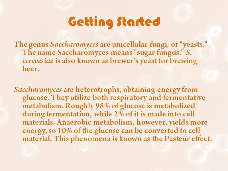 Slide8.JPG -  heterotroph  ( ) n. An organism that cannot synthesize its own food and is dependent on complex organic substances for nutrition.